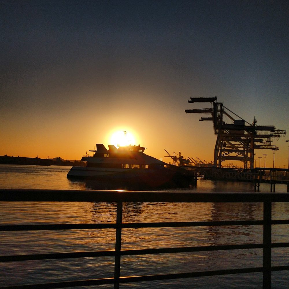 Barber Dave Galdamez Logo