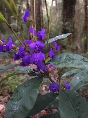 Marima Cottages Pemberton by null