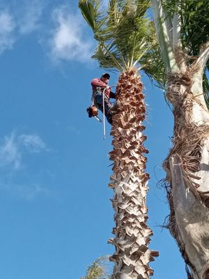 El Paisa by Los Alegres Taco Truck by null