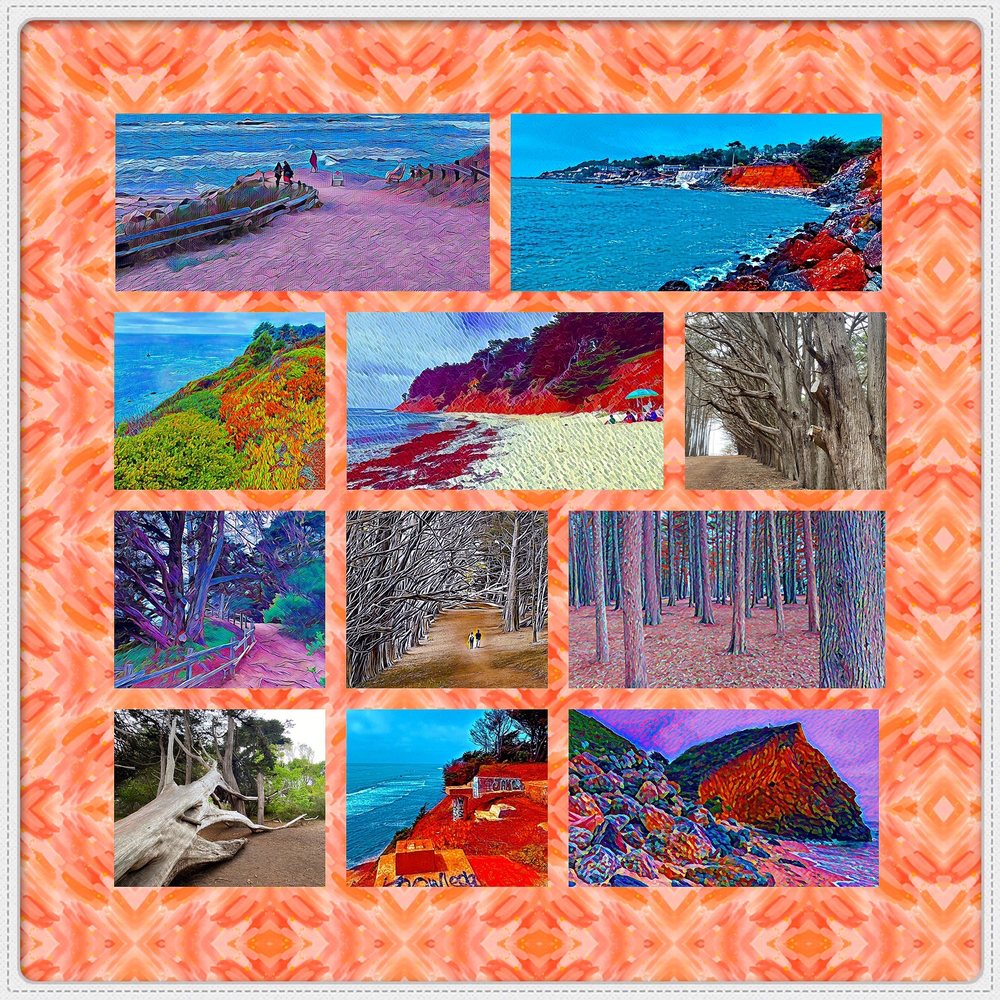 Fitzgerald Marine Reserve - Montage of images from Fitzgerald Marine Reserve - Parks Near Me - Moss Beach, California