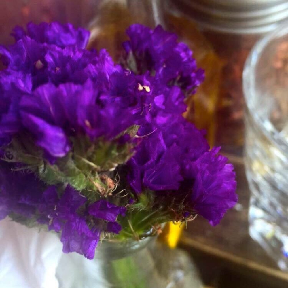 WILD - Small flowers on each table - New American Near Me - New York, New York WILD - Small flowers on each table - New American Near Me - New York, New York