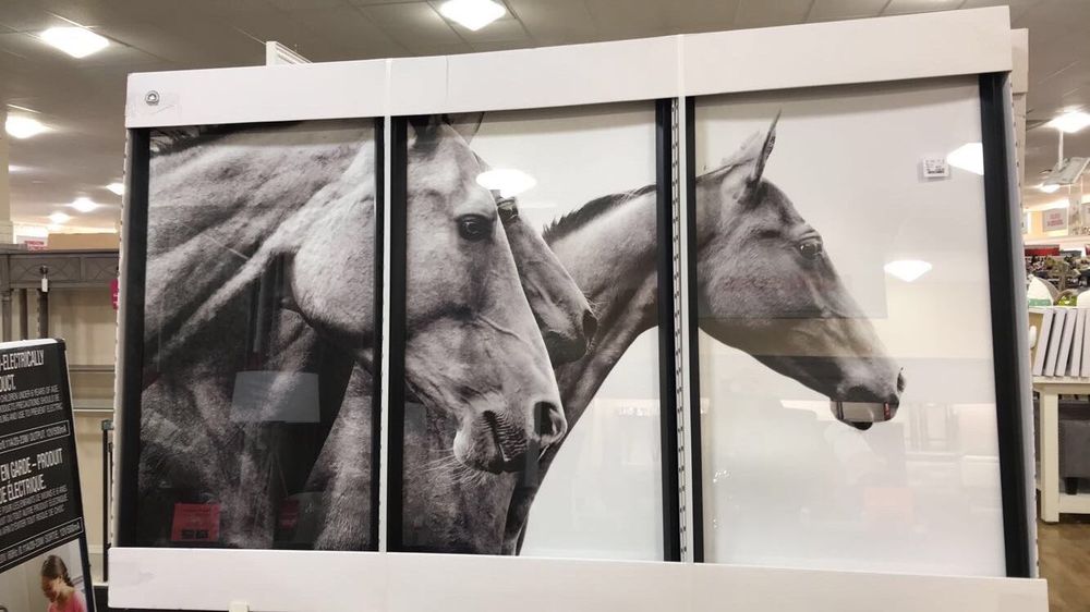 HOME GOODS Updated August 2024 21 Photos 100 Dogwood Blvd, Flowood, Mississippi Home