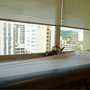 Photo of Izuka Byron H MD
