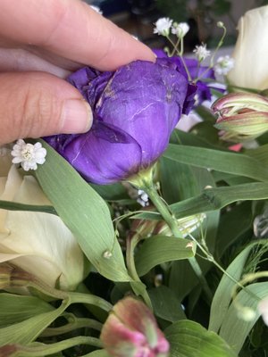 Safeway Bakery by null