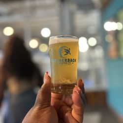 Leatherback Brewing Company - Blonde ale
