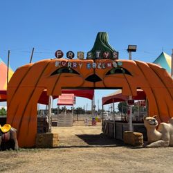 Frosty's Forest Pumpkin Patch