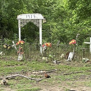 Cajun Pride Swamp Tours - Grave yard - Tours Near Me - La Place, Louisiana
