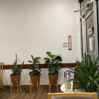 Ramen512 - Cute decor, I just love plants! - Ramen Near Me - Cedar Park, Texas Ramen512 - Cute decor, I just love plants! - Ramen Near Me - Cedar Park, Texas