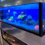 Photo of Aquashop