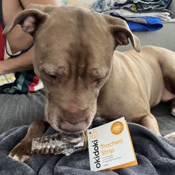 Lux Glass & Vape - Okidoki CBD trachea strip for dogs