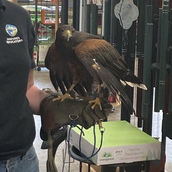 Wild Birds Unlimited - Bird Shops Near Me - Denver, Colorado Wild Birds Unlimited - Bird Shops Near Me - Denver, Colorado