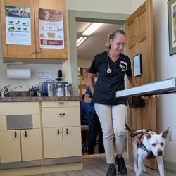Kedron Valley Veterinary Clinic - My bad boy's first visit here, a success :)
