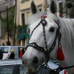 Ulica Szeroka - fot. krakuska