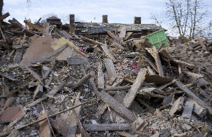 Georges Hauling Service - tree service in Saint Louis, MO