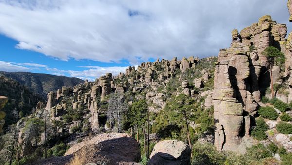 Chiricahua National Monument by null