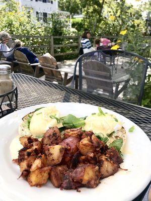 The Flying Fish by null