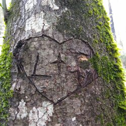 Sharon Siegler - Love + Truth = Healing