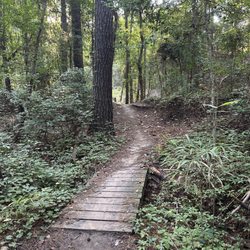 Horry county Bike and Run Park - Running trail