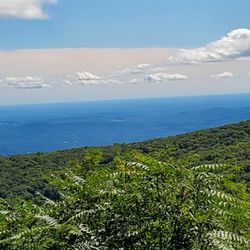 Granite Home Inspections - View from massanutten