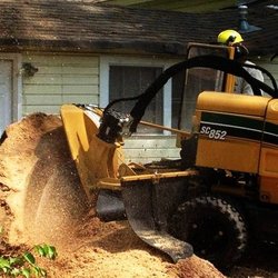 Austin Stump Grinding