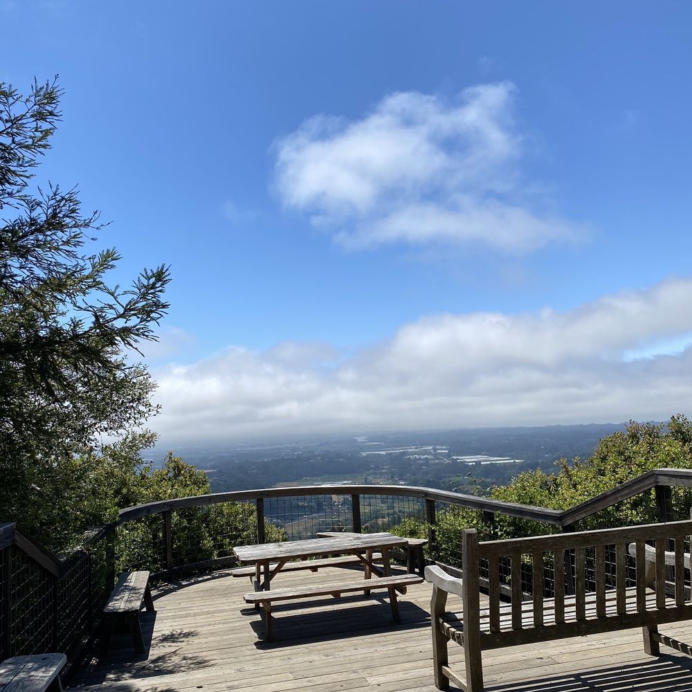 Byrne-Milliron Forest - Hiking Near Me - Corralitos, California Byrne-Milliron Forest - Hiking Near Me - Corralitos, California