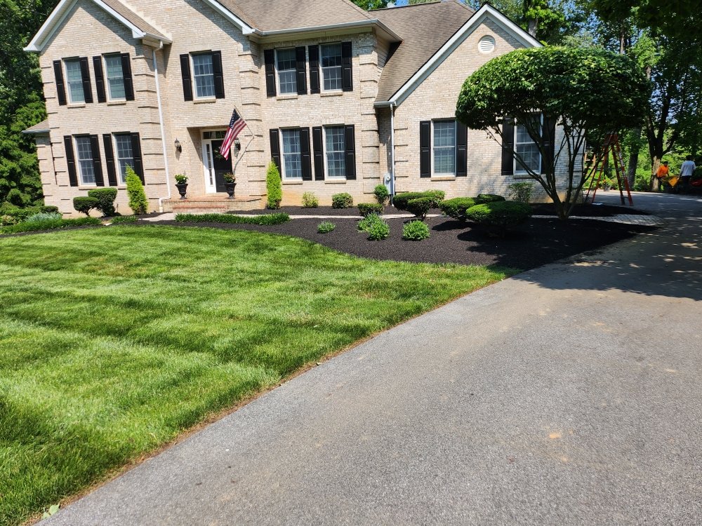 MONROY LANDSCAPING SERVICE 31 Photos Westminster, Maryland