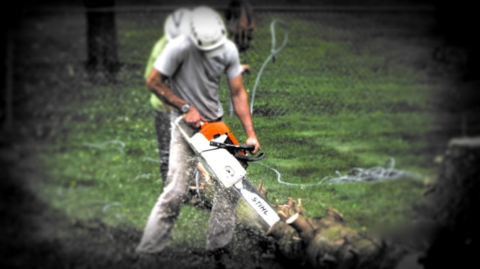 Trees Are My Business - tree service in Columbus, OH