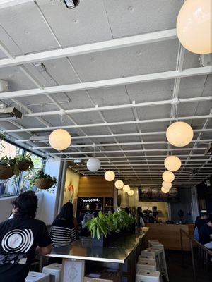 rachel's ginger beer - pike place by null