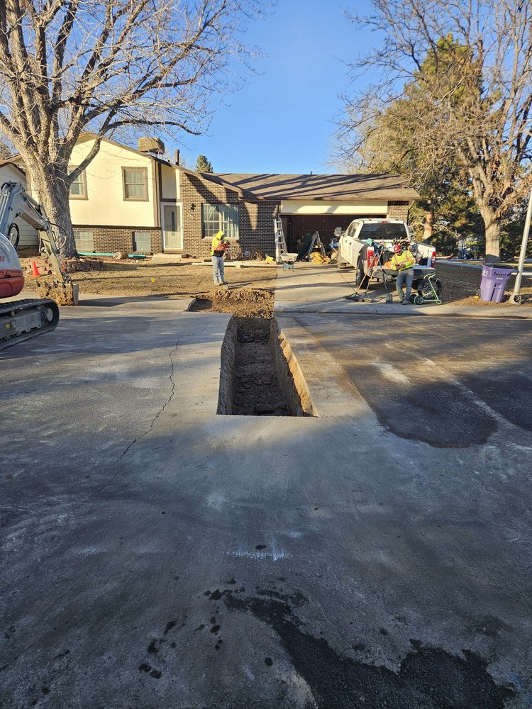 Slide of Drain Terrier