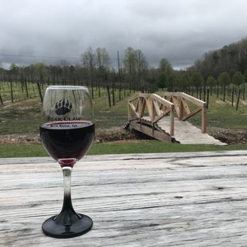 Bear Claw Vineyards - Wineries Near Me - Blue Ridge, Georgia