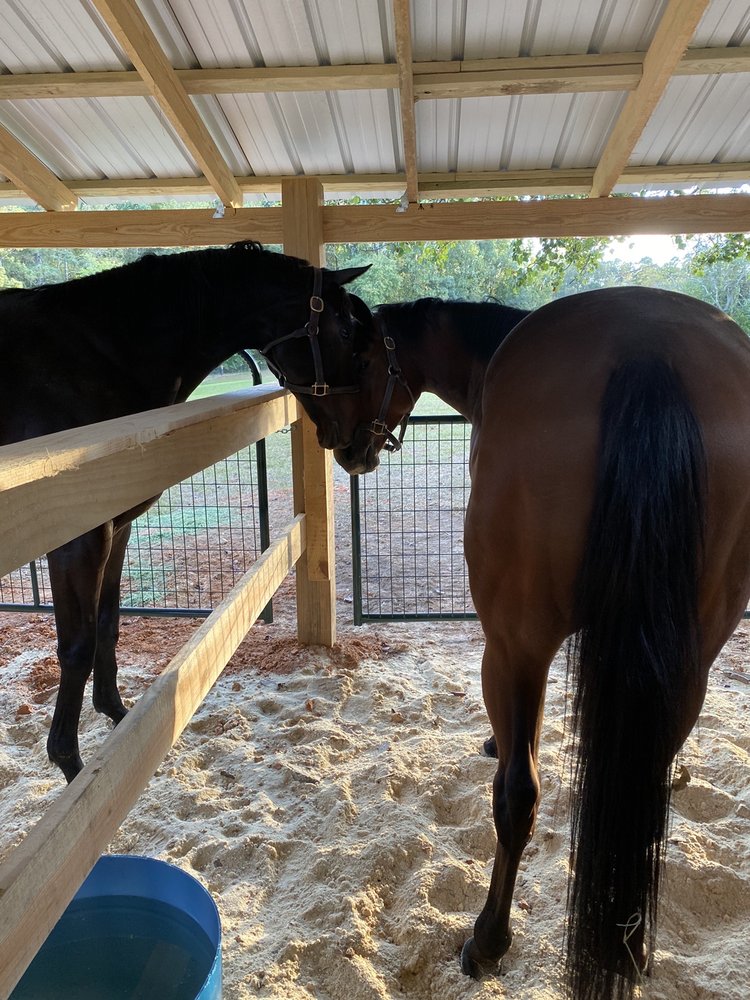 THE TACK ROOM Updated September 2024 2530 Broad St, Camden, South