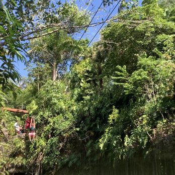 Xenotes Oasis Maya - Awesome - Tours Near Me