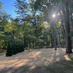 Malvern Lawn Care - Yard clearing, Regrading, Seed and Straw. An overgrown mess was turned into useable yard and some privacy.