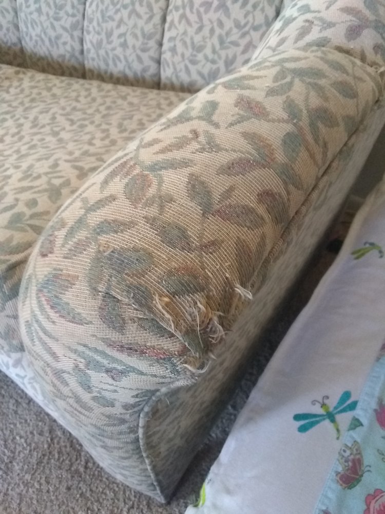 XTREME CLEAN Updated August 2024 11 Photos 4009 Menaul Blvd NE