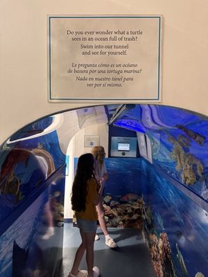 Sea Turtle, Inc. by null