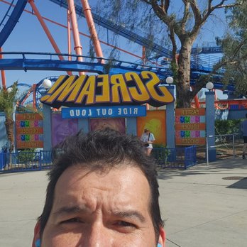Six Flags Magic Mountain - Bees shut down this ride today - Amusement Parks Near Me - Valencia, California Six Flags Magic Mountain - Bees shut down this ride today - Amusement Parks Near Me - Valencia, California