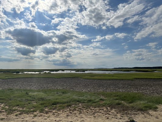 Mass Audubon Wellfleet Bay Wildlife Sanctuary by null