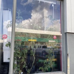 Honolulu Hydroponics - Tomatoes