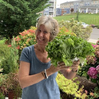 Carpinito Brothers - Lettuce as big as my head - and only $1.50! - Nurseries & Gardening Near Me - Kent, Washington