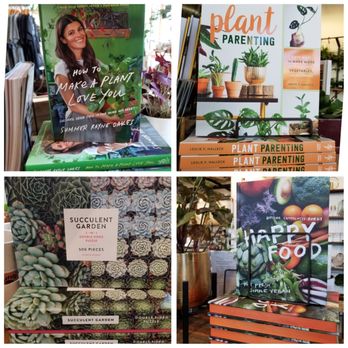 ECOVIBE - Books everywhere - Home Decor Near Me - Portland, Oregon ECOVIBE - Books everywhere - Home Decor Near Me - Portland, Oregon
