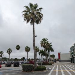 The Shops at Midpoint Center - The Shops at Midpoint Center, Cape Coral