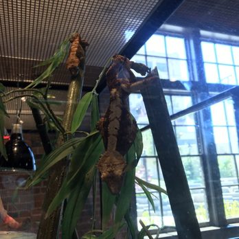 Mobius Discovery Center - Children's Museums Near Me - Spokane, Washington Mobius Discovery Center - Children's Museums Near Me - Spokane, Washington