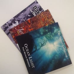 Buskerdoo - Printed CD Sleeves