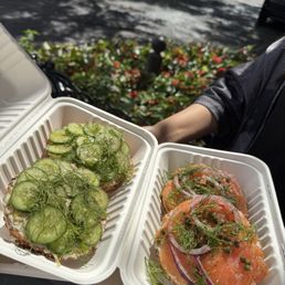 Whitefish Bagel & Smoked Salmon Bagel Whitefish Bagel & Smoked Salmon Bagel