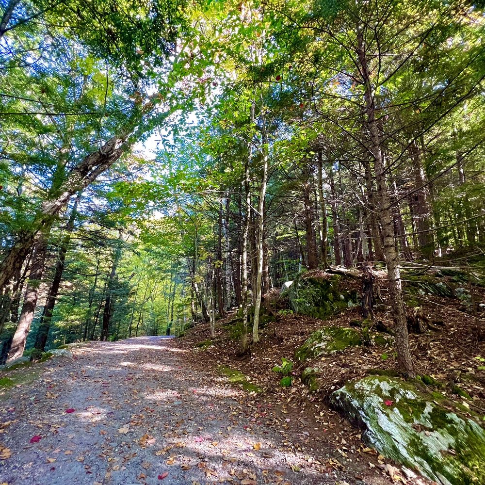 Bingham Falls - Views along the Mill Trail to the falls (Early October 2023) - Hiking Near Me - Stowe, Vermont