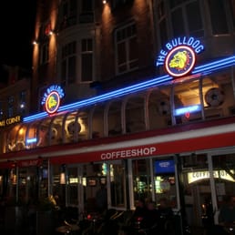Coffeeshop Energy | The Bulldog