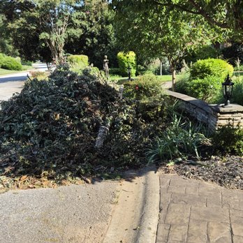 Cheap & Great Tree Services - Tree trimmings - Tree Services Near Me - Greensville, South Carolina Cheap & Great Tree Services - Tree trimmings - Tree Services Near Me - Greensville, South Carolina