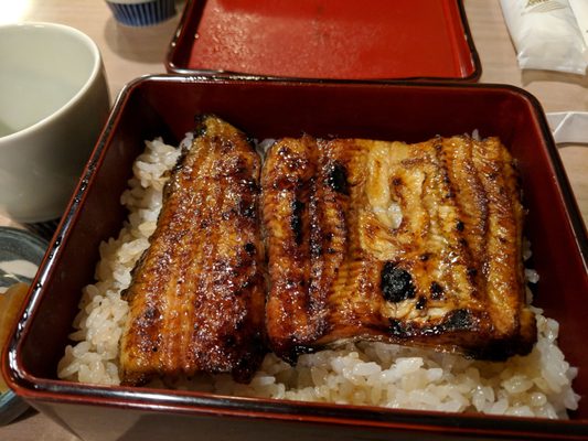 Unagi Hashimoto by null