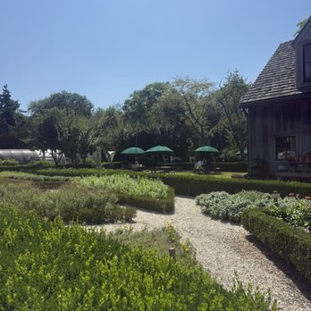 Beach Plum Farm - American Near Me - West Cape May, New Jersey Beach Plum Farm - American Near Me - West Cape May, New Jersey