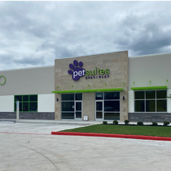 PetSuites Spring Rayford